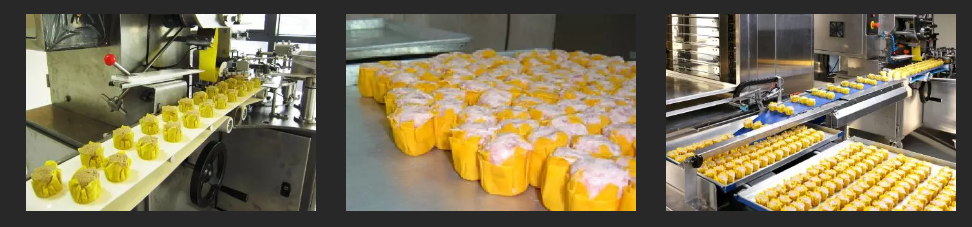 SY-880 Automatic sumai/siomai/shaomai/shumai making machine