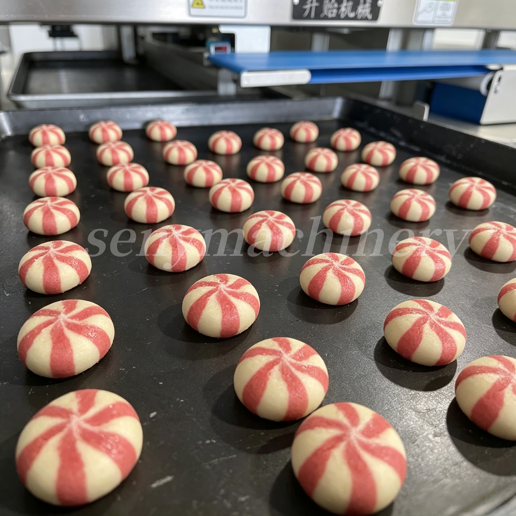 How to Choose the Right Cookie Making Machine for Your Bakery: A Complete Guide